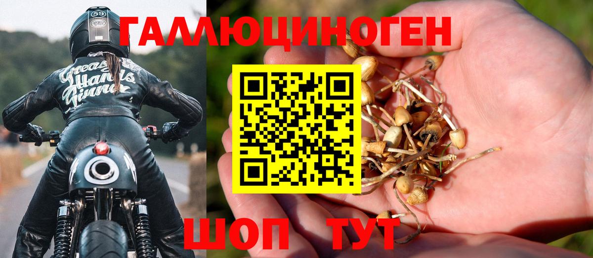 Псилоцибиновые грибы мухоморы Камень-на-Оби