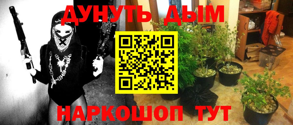Камень-на-Оби  Марихуана семена  Конопля THC 21%  Бошки Шишки VHQ  МАРИХУАНА AK-47  Вход с VPN 